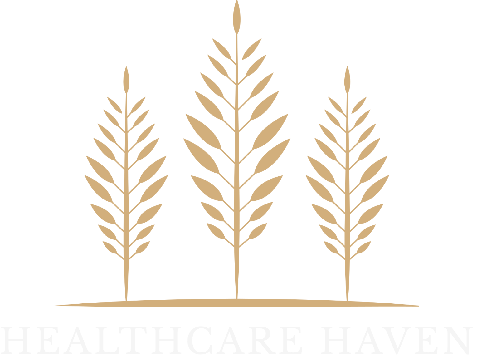 Healthcare Haven